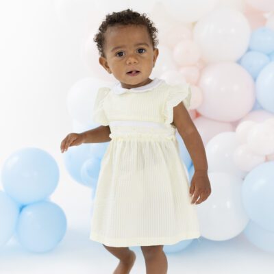 Blues Baby Annecy Lemon Smocked Dress 2267
